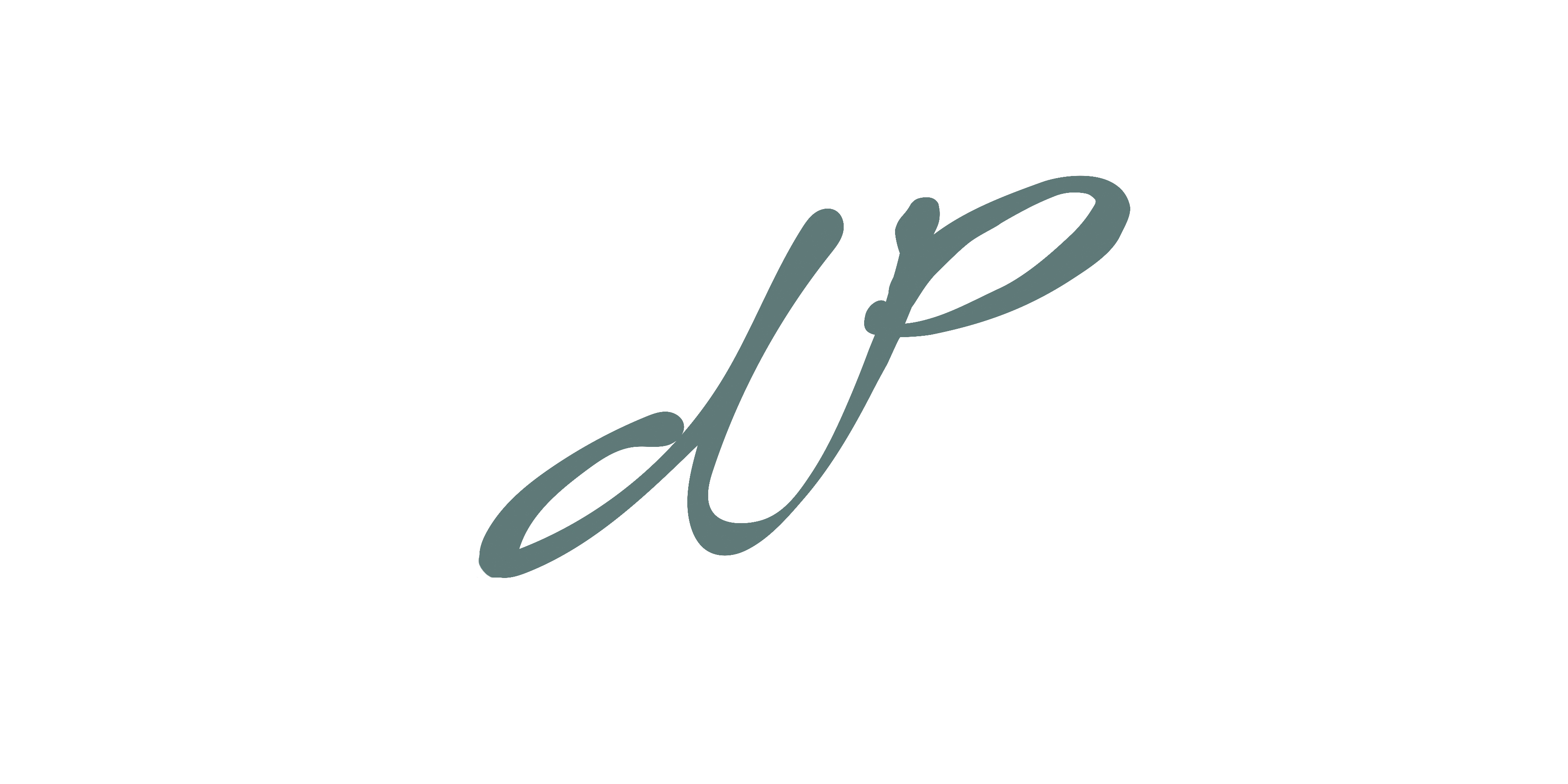DU PREEZ INC. logo